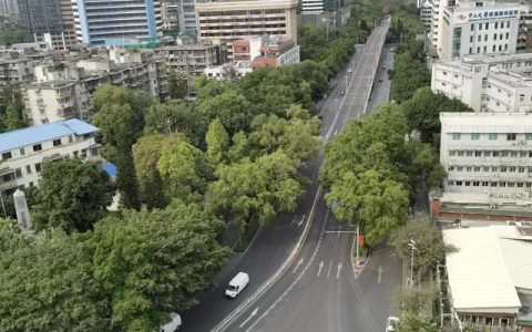 风雨哈佛路观后感800字高中（风雨哈佛路观后感800字作文）
