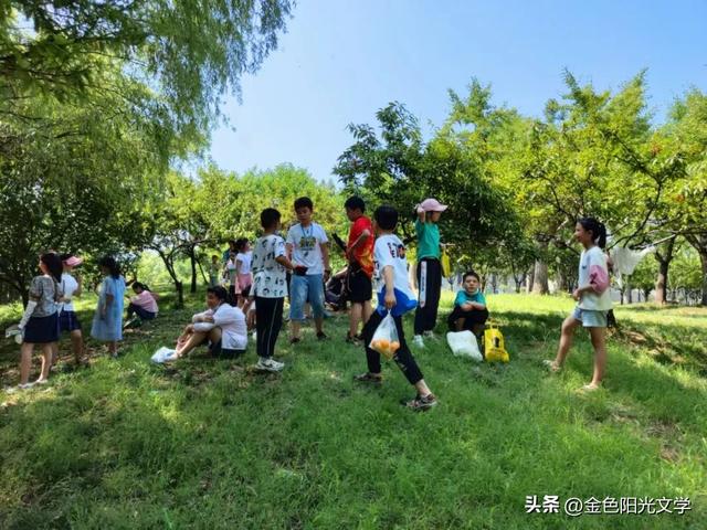 八一征文作文400字（征文作文400字四年级）