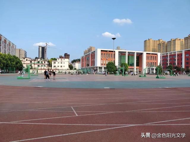 八一征文作文400字（征文作文400字四年级）