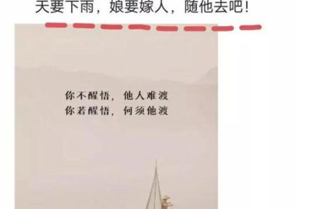 药鲁迅先生PPT（药鲁迅先生内容概括）