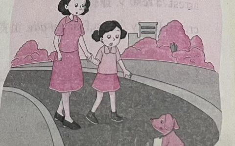 一起来阅读吧（六年级英语）