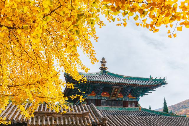 读什么书有感400字，读什么书有感400字左右！