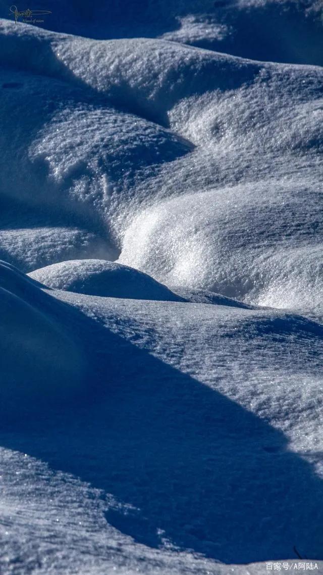 冬天里的雪小说，冬天里的雪小说集