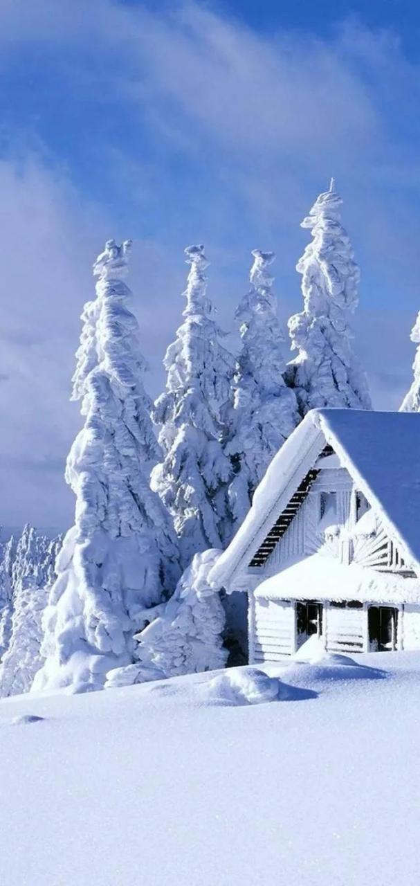 冬天里的雪小说，冬天里的雪小说集
