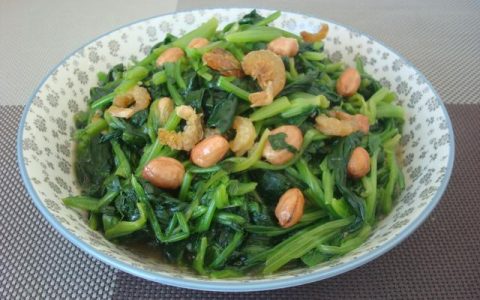 菠菜文库网页版，菠菜文库网址